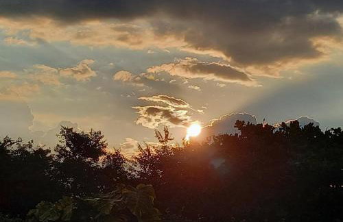 Querência MaeDa - Photo 24