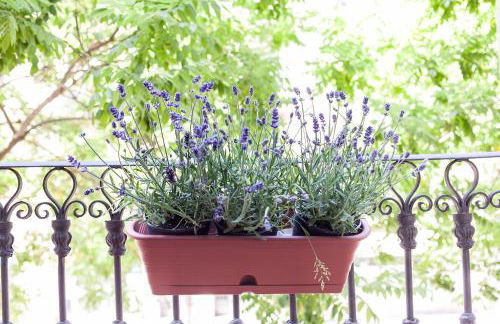 Habitat Apartments ADN - Foto 147