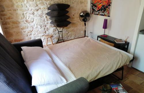 studio au sein d'un mas en Camargue - Photo 8