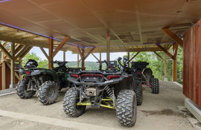 Birch Haven Tree House Directly ON Trail - Photo 6