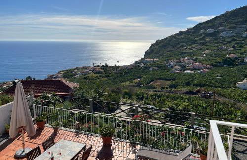 Tropical Garden - Photo 49