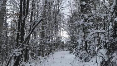 Dreamy Artist Chalet in Secluded Historic Village - Foto 3, Other