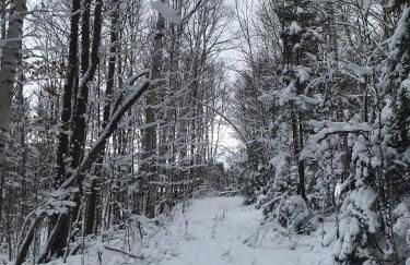 Dreamy Artist Chalet in Secluded Historic Village - Photo 3