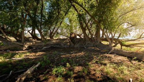 Maple Canyon*Pet-friendly fenced yard*RV Parking - Foto 2