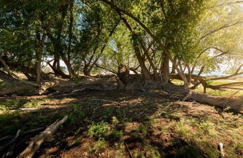 Maple Canyon*Pet-friendly fenced yard*RV Parking - Foto 2