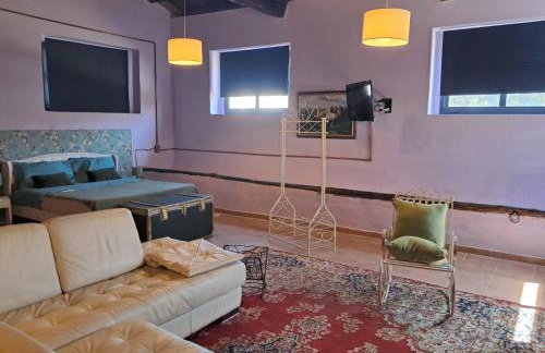 Azienda Agricola Neocastrum - Foto 4