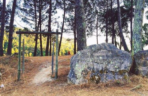 Casa do Lavadouro - Foto 29