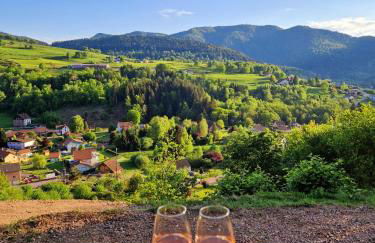 Tiny House, Hautes Vosges - Foto 32