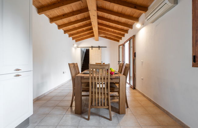 Eucalipto - Photo 16