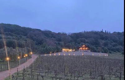 ktima Tzouros - Κτήμα Τζούρος - Foto 12