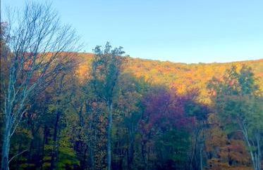 Mountain Vista Luxury Retreat! - Foto 41