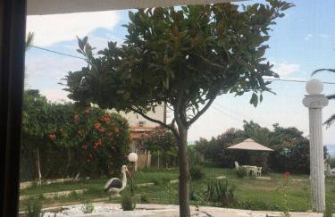 SAINT IOANNIS APARTMENTS ON THE BEACH - Photo 15