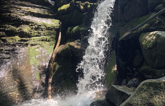 Le Moulin des Olirics - Foto 22