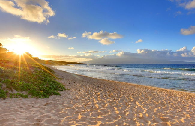 233 Market Street Unit C - Foto 40