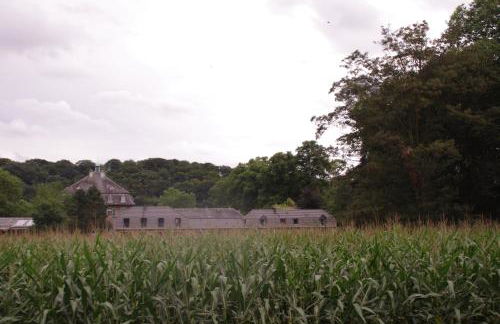 Ferienwohnung Villa Weyermann - Foto 67