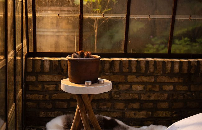 La Petite For t Antique Countryside Greenhouse - Photo 45