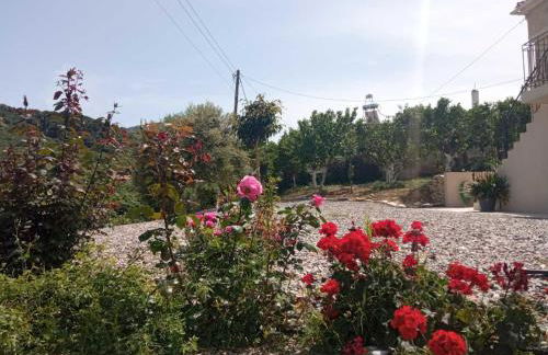 nafsikacottagehouse - Foto 50