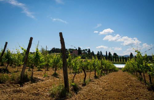 Agriturismo L'isola - Foto 39