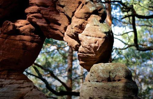 Felsenlandblick - Foto 3