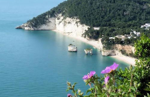 B&B Case Vacanza Orchidea marina di Macchia a Mattinata Gargano - Foto 63