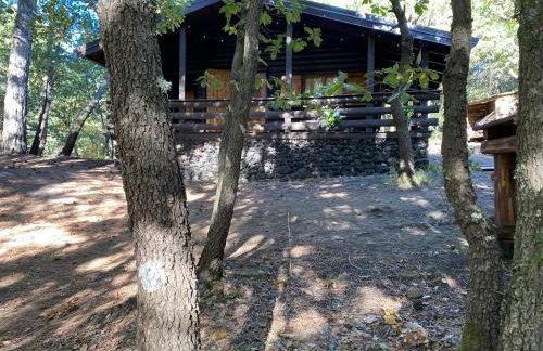 Woods Etna Chalet - Photo 41