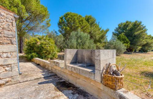 Tenuta Pizzola - Foto 29