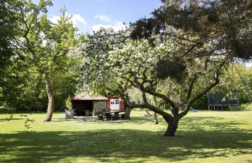 Reetdachhaus nahe der Ostsee mit Sauna und Garten - Foto 9