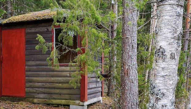6 Person Holiday Home in Arjang - Foto 3, Sauna