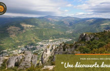 Alberguiere - Piscine chauffée - plancha - barbecue - Foto 41