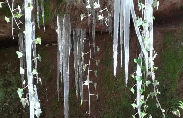 Luise Im Künstlerhaus - Foto 26