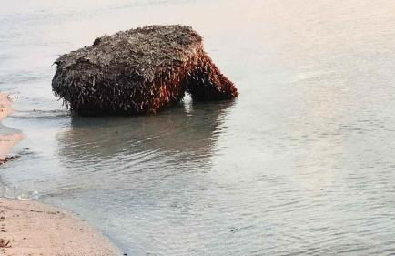 Villetta sul mare - Foto 45