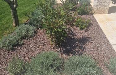 Villa Meliora - Foto 69