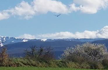 Dimora Visconti - Foto 61