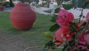 Anestis Studios - Foto 2