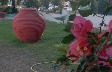 Anestis Studios - Foto 2