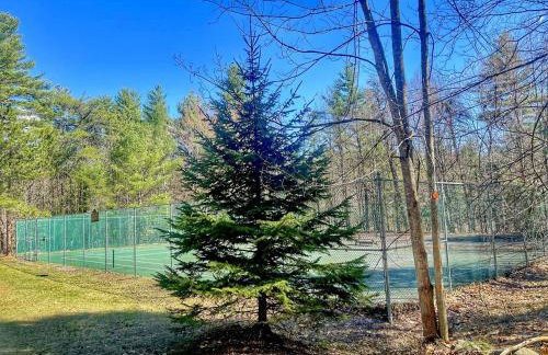 Luxury ADK Retreat Near Whiteface, Lake Placid - Foto 47