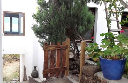 Dos Violetas - Foto 7