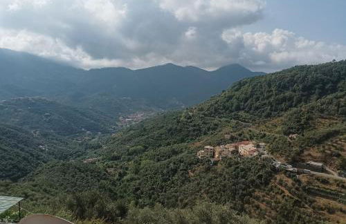 CASA LORENZO SULLE COLLINE DI LEVANTO e VICINO ALLE CINQUETERRE LT-0620 - Foto 16