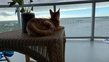 Relax in luxury - Foto 2