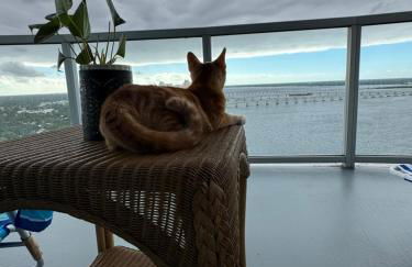 Relax in luxury - Foto 2