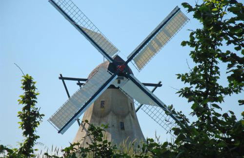 Ferienhof Jepsen - Foto 10