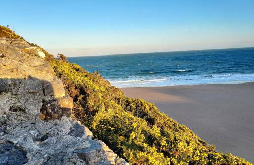 Cosy Cottage overlooking the Teifi Gorge - Foto 37