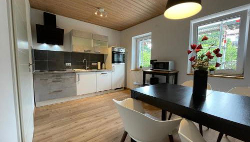 Dill Apartment Pleinfeld am Brombachsee I - Foto 4, stove