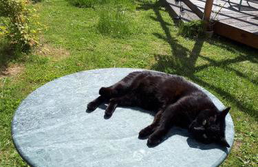 ehemaliges Gutsverwalterhaus - Foto 6