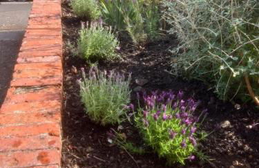 Charming cottage in Wells with easy parking - Foto 25