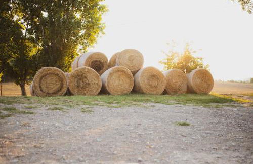 Corte San Ruffillo-Azienda Agrituristica - Foto 86