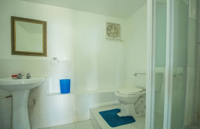 Tall Palms - Photo 15