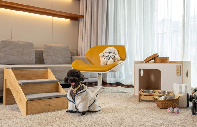 Somerset Jeju Shinhwa World - Foto 27