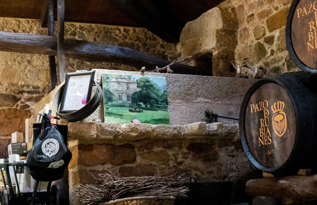 Visita guiada por el Pazo de Rubianes - Foto 1