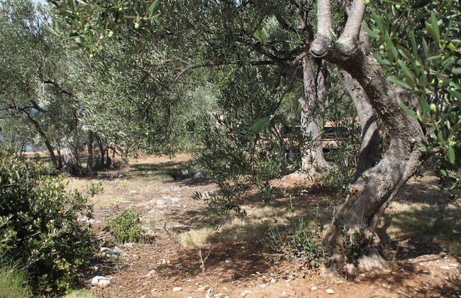 Peaceful 2-bedroom Robinson House Orca - Photo 13